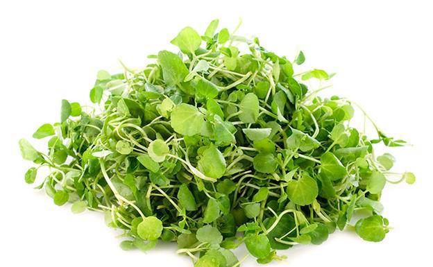 berros Berros Hidropónicos (Paquete de 100 gr aprox) - Imagen 1