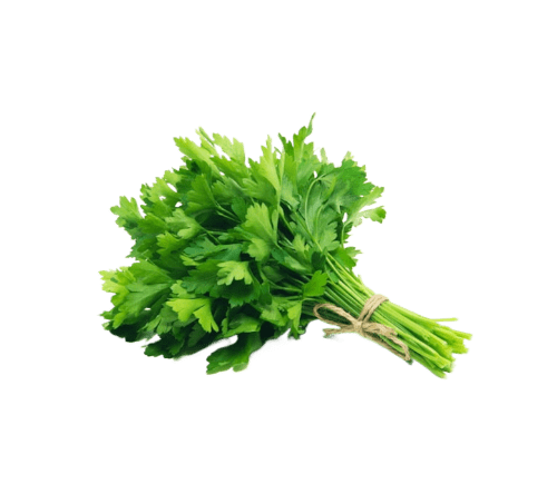 Cilantro (Paquete 100 grs aprox)