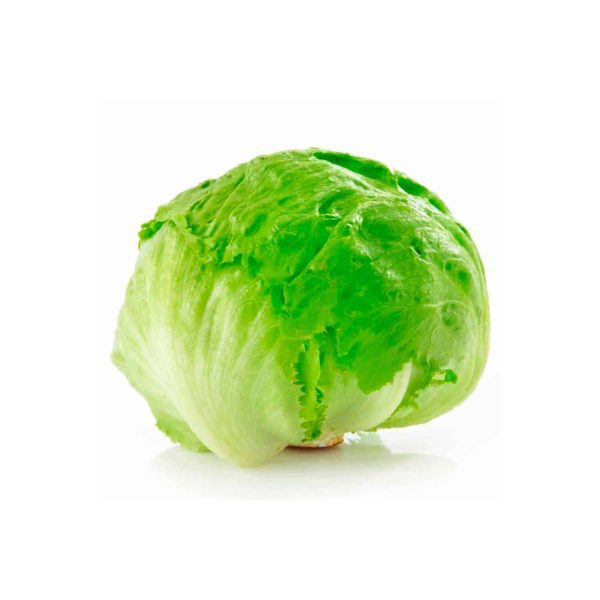 Lechuga Escarola unidad