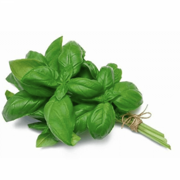 albahaca