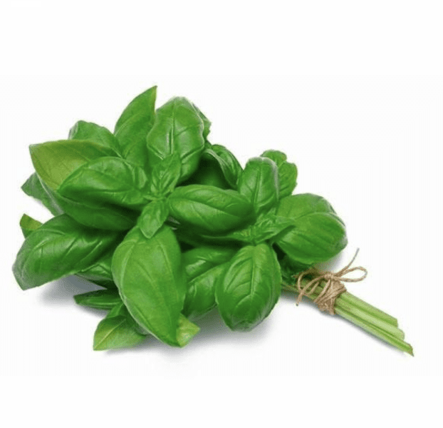 albahaca albahaca