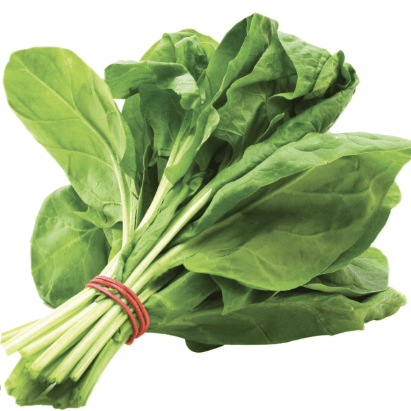 espinaca