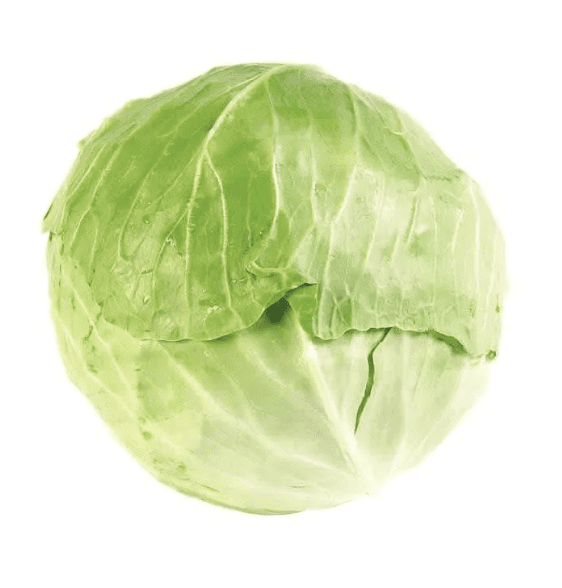 Repollo verde